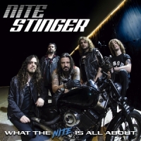Nite Stinger What The Nite Is All About