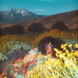 Howard, Brittany What Now -indie Only-