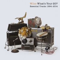 Wilco What's Your 20?