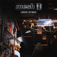 Mesh Looking Skyward