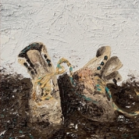 Brown, Apollo Skilled Trade -coloured-