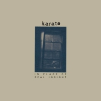 Karate In Place Of Real Insight (indigo)