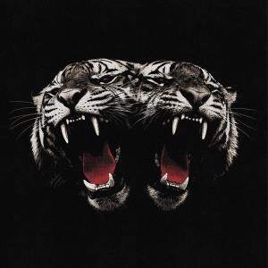 Royal Blood Dead Company