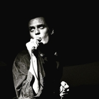 Love, Calvin Night Songs