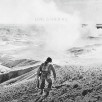 Jeff Tweedy Love Is The King