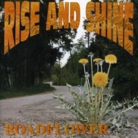 Rise And Shine Roadflower
