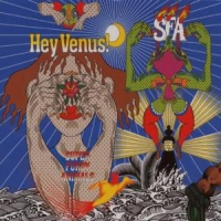 Super Furry Animals Hey Venus