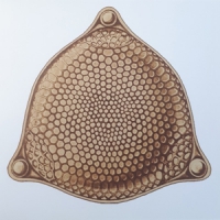 Zion Train Dry Your Tears Remix