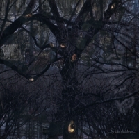 Trelldom ...by The Shadows...