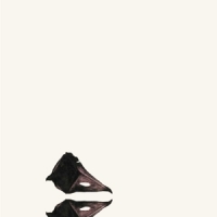 Coil The New Backwards