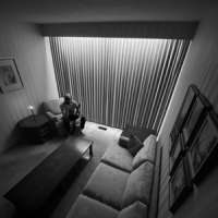 Timber Timbre Lovage