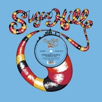Sugarhill Gang, The Rapper's Delight