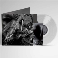 Taake En Skog Av Nidstang -coloured-