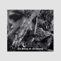 Taake En Skog Av Nidstang