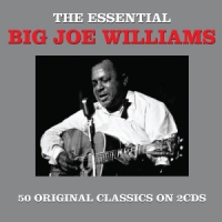 Williams, Big Joe & J.d. Short Essential