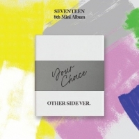 Seventeen Your Choice - Other Side Versie