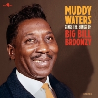 Waters, Muddy Sings Big Bill -ltd-