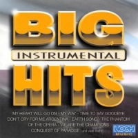 Acoustic Sound Orchestra Big Hits Instrumental