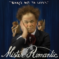Mister Romantic What S Not To Love