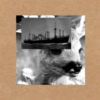 Lotterman, Mark Indien Later, Dan Ook Nu