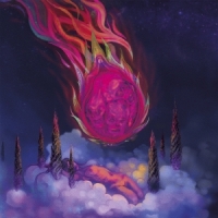 Plastic Woods Dragonfruit