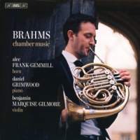 Brahms, Johannes Chamber Music With Horn