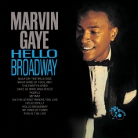 Gaye, Marvin Hello Broadway