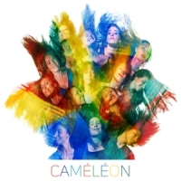 Maillard, Thierry -ensemble- Cameleon