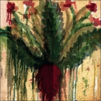 Christophe Guiraud Kutra Begulma