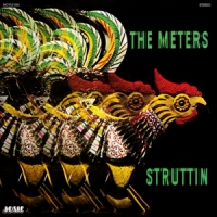 Meters Struttin'