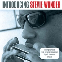 Wonder, Stevie Introducing
