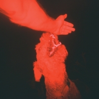 Winter, Eli A Trick Of The Light