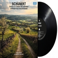 Various Schubert  Fantasy In C Major/the Wa