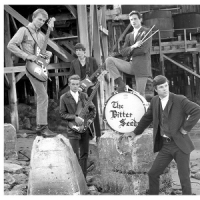 Bitter Seeds/rock Shop State Of Your Mind