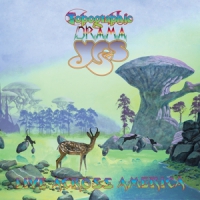Yes Topographic Drama - Live