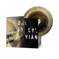 Sylvian, David The Distance Between The Killer And