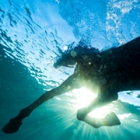 Dream Nails You Wish