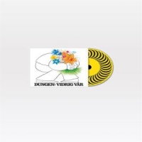 Dungen Vidrig Var