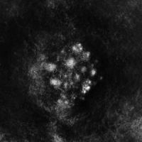 Saffronkeira Synecdoche