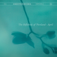Riflebirds Of Portland April
