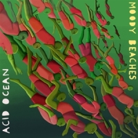 Moody Beaches Acid Ocean