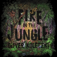 Koletzki, Oliver Fire In The Jungle
