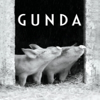 Movie Gunda