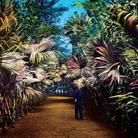 Knol, Tim Cut The Wire -coloured-