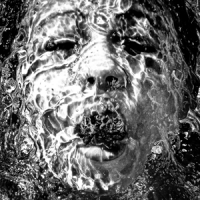 Brother Ali Secrets & Escapes (pict. Disc)