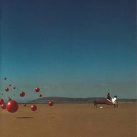 Cranberries, The Wake Up And Smell The Coffee -coloured-