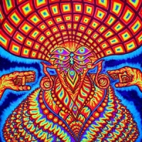 Dream Syndicate, The The Universe Inside