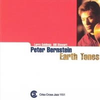 Peter Bernstein Trio Earth Tones