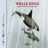Sons De La Nature Whale Songs - Recordings From The D