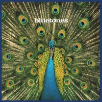 Bluetones Expecting To Fly